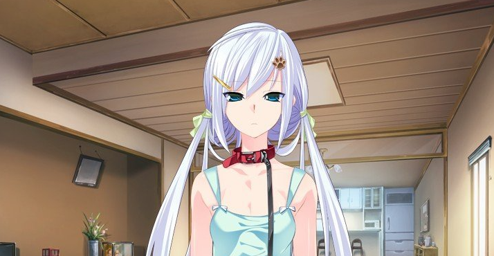 来玩成人游戏吧！AI汉化版+全CG存档[新汉化]